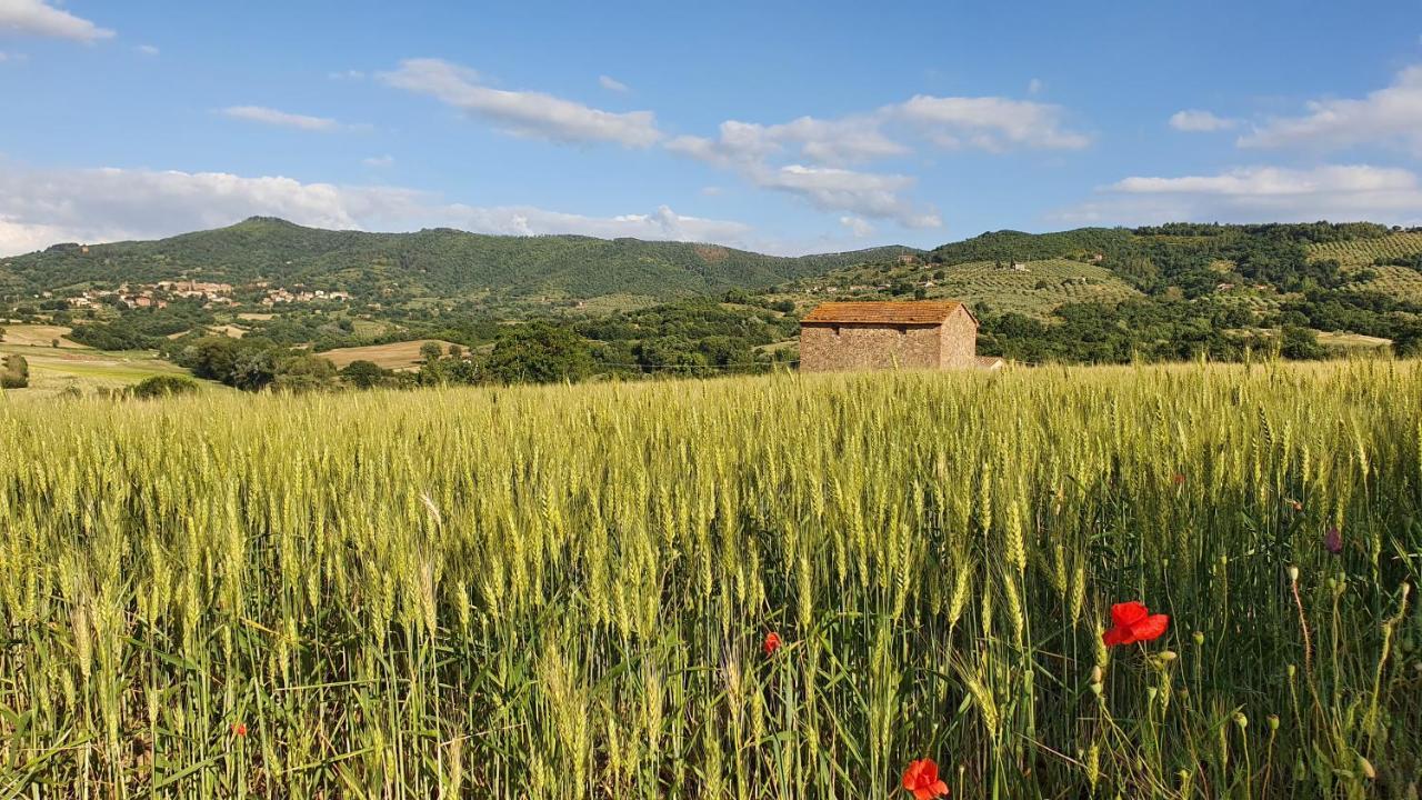 Vacanze Sant Andrea Paciano Bagian luar foto