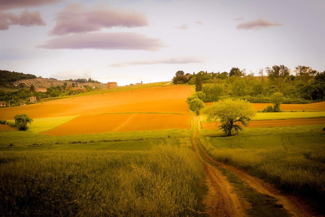 Vacanze Sant Andrea Paciano Bagian luar foto