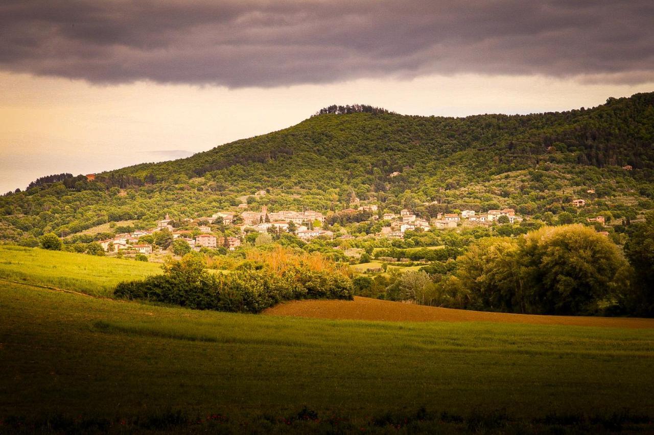 Vacanze Sant Andrea Paciano Bagian luar foto