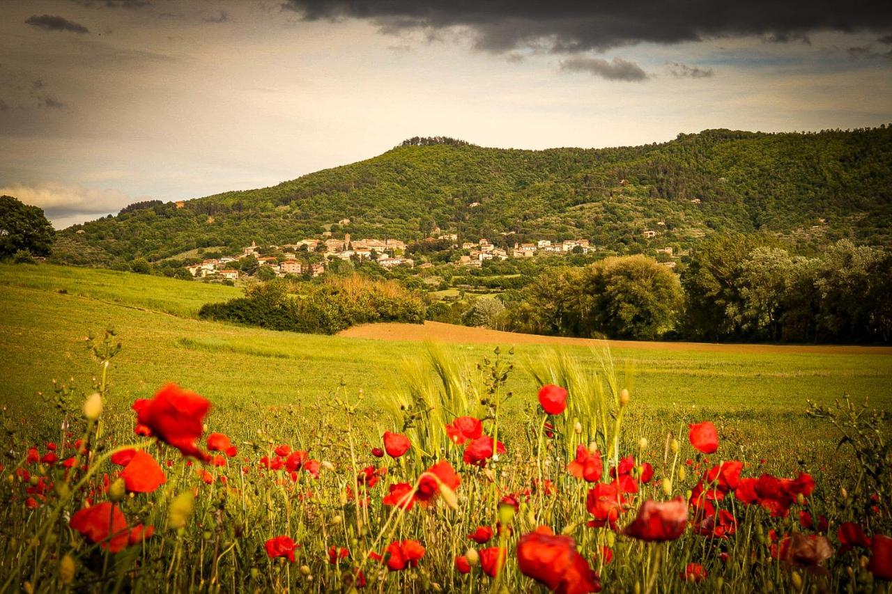 Vacanze Sant Andrea Paciano Bagian luar foto