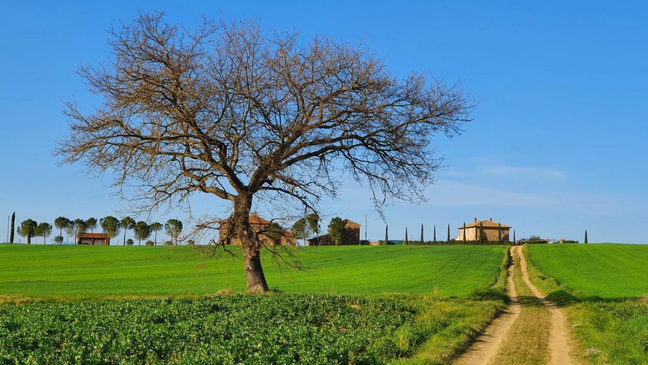 Vacanze Sant Andrea Paciano Bagian luar foto
